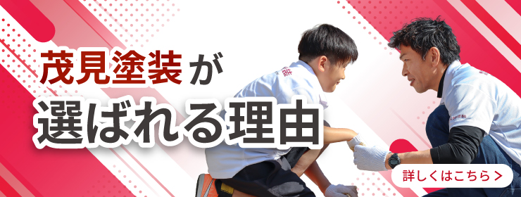 選ばれる理由